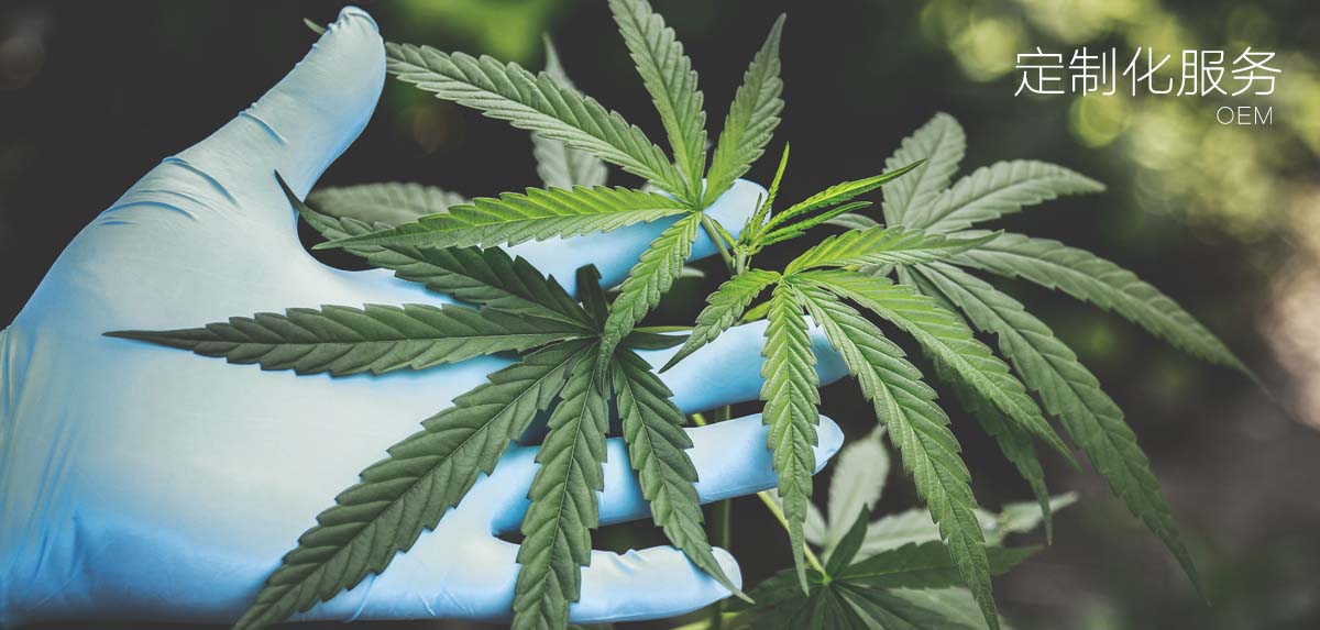 1563158619153107.jpg 定制化服务1200副本.jpg